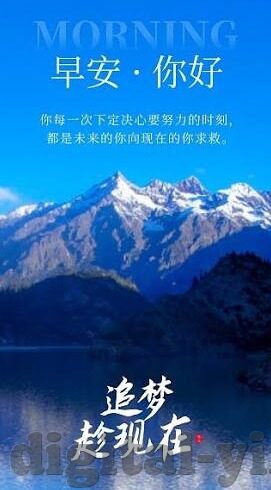 欧美理论在线大象视频-欧美理论在线与大象视频，文化交流的桥梁与边界探讨