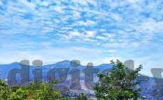 亚洲人妻一区在线-亚洲文化与家庭观念的细腻描绘——以亚洲人妻为视角的深度观察